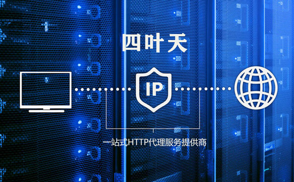 【拉萨代理IP】代理IP的主要用途和使用注意事项